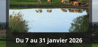 EXPOSITION - Merville, côté ville, côté campagne - Parcours photographique