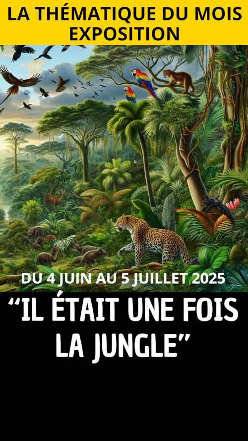 EXPOSITION "Il était une fois la jungle"