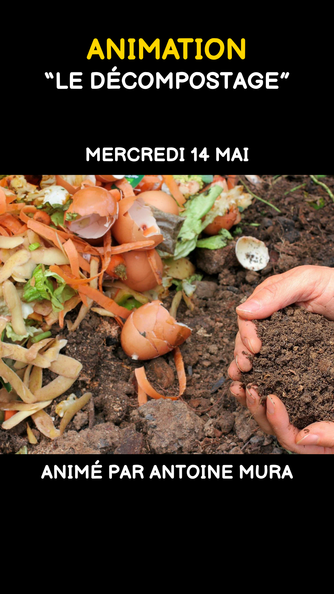 ANIMATION "Le décompostage"